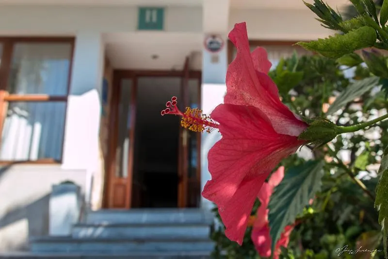Hostel Hotel Santanyi Port Cala Figuera